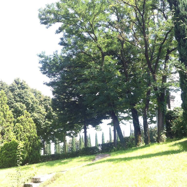 Relais Villa Gozzi B&B Arcugnano Bagian luar foto