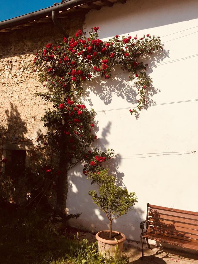 Relais Villa Gozzi B&B Arcugnano Bagian luar foto